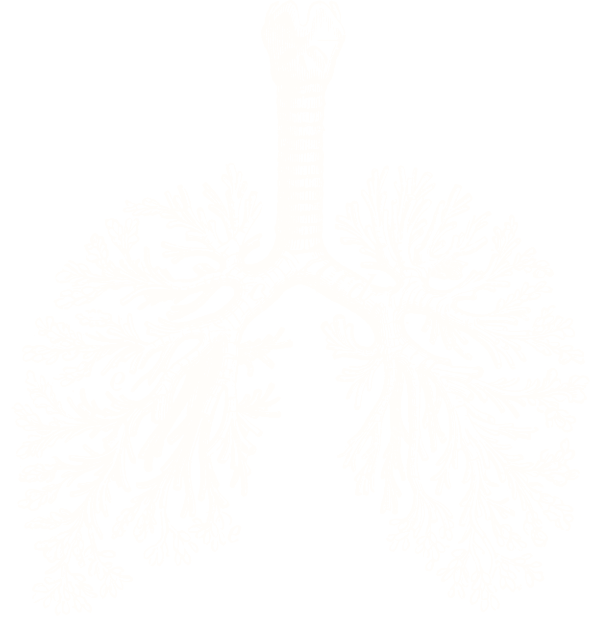 lungs
